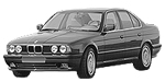 BMW E34 P0411 Fault Code